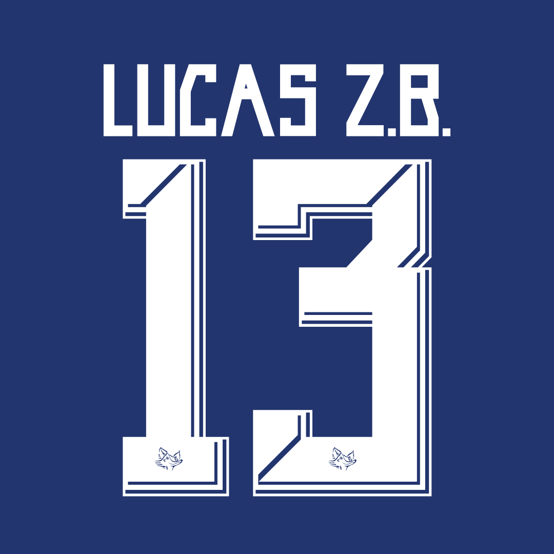 Lucas Zanetic Braga